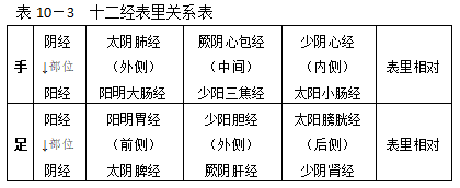 一、经络的组成和作用