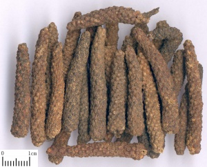 荜茇:点击看原图 荜茇