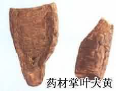 大黄:点击看原图 大黄