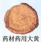大黄:点击看原图 大黄