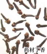 丁香:点击看原图 丁香