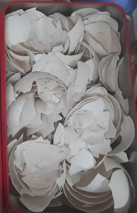 鹅蛋壳:点击看原图 鹅蛋壳
