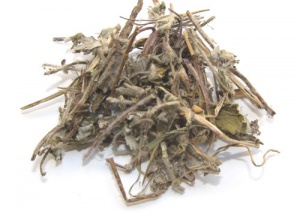 翻白草:点击看原图 翻白草