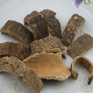 合欢皮:点击看原图 合欢皮