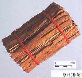 厚朴:点击看原图 厚朴