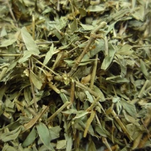 鸡眼草:点击看原图 鸡眼草