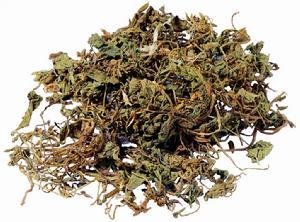 荠菜:点击看原图 荠菜