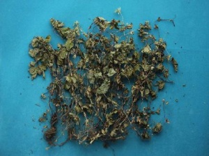 剪刀草:点击看原图 剪刀草