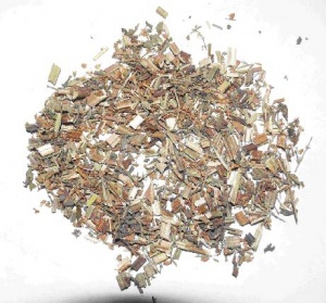荔枝草:点击看原图 荔枝草