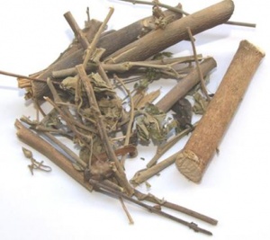 磨盘草:点击看原图 磨盘草