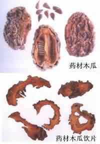 木瓜:点击看原图 木瓜