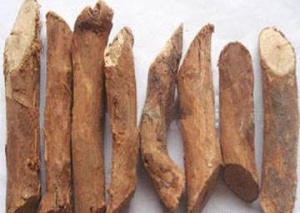 蔷薇根:点击看原图 蔷薇根