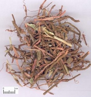 茜草:点击看原图 茜草