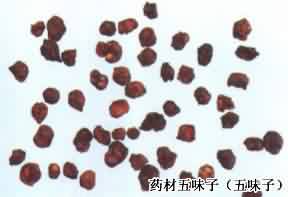 五味子:点击看原图 五味子