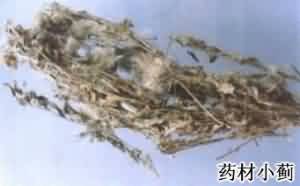 小蓟:点击看原图 小蓟