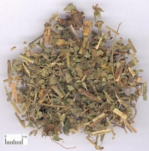 仙鹤草:点击看原图 仙鹤草