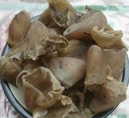 猪蹄甲:点击看原图 猪蹄甲
