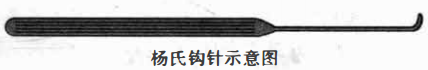 杨氏钩针