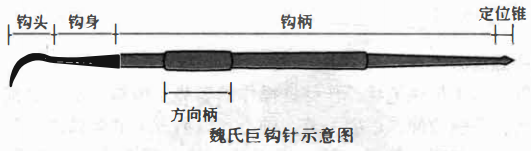 魏氏巨钩针