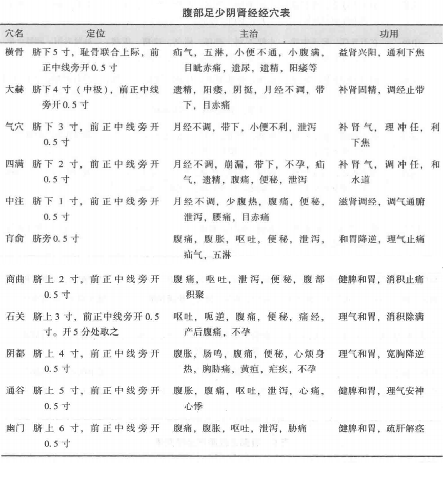 腹部足少阴肾经经穴表
