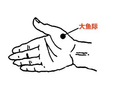 大鱼际