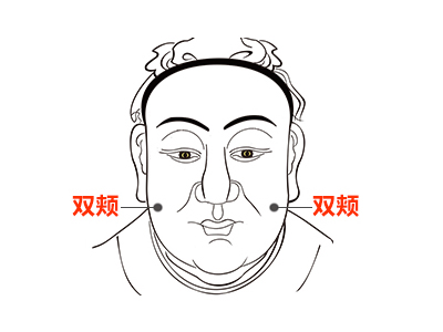 双颊