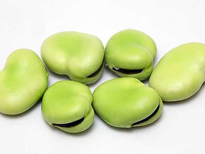 蚕豆