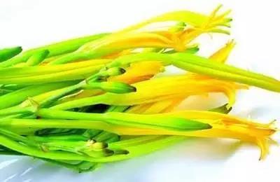 鲜黄花菜
