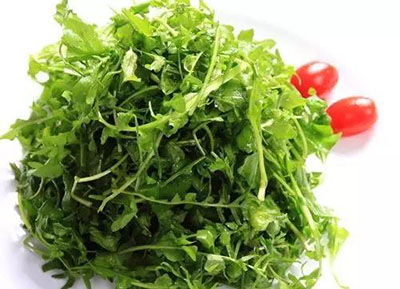 荠菜