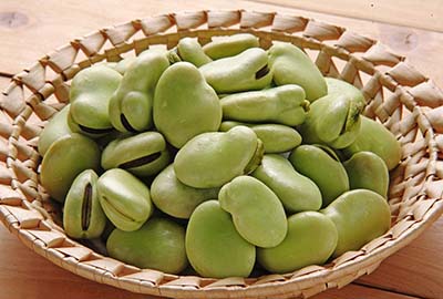 蚕豆