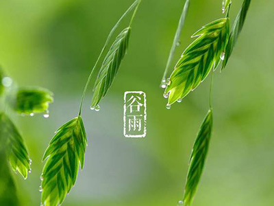 谷雨