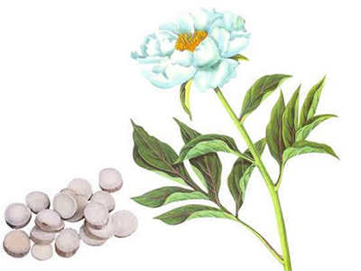 白芍
