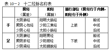一、经络的组成和作用